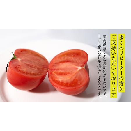 ふるさと納税  スーパーフルーツトマト 小箱 約800g &times; 1箱 【大玉7〜13玉/1箱】 糖度9度 以上 トマト とまと フルーツトマト フルーツ 野菜.. 茨城県筑西市