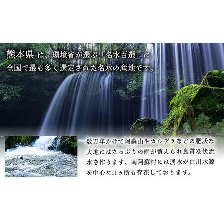 ふるさと納税 シリカビヨンドリッチ300ml×30本入 ルーシッド株式会社 《90日以内に出荷予定(土日祝除く)》 熊本県南阿蘇村 天然水 ナチュ.. 熊本県南阿蘇村の画像