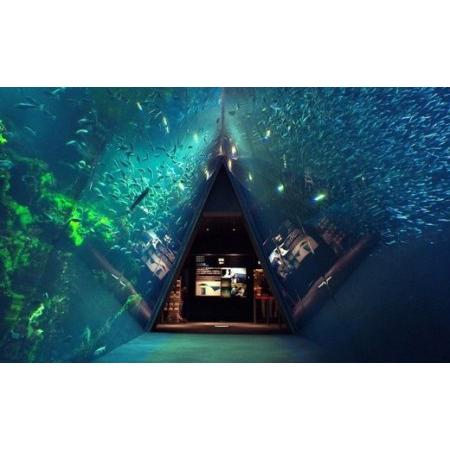 ふるさと納税 050 アクアマリンふくしま入館前売り券セット（大人２枚・子ども２枚） 福島県いわき市 大人２枚 子ども２枚