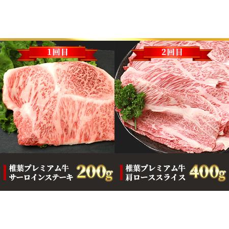 ふるさと納税 【定期便6回】総重量3.1kg！椎葉プレミアム牛満喫定期便≪ステーキ・すき焼き・しゃぶしゃぶ・焼き肉≫ 宮崎県椎葉村 ふるさと納税 【定期便6回】総重量3.1kg！椎葉プレミアム牛満喫定期便≪ステーキ・すき焼き・しゃぶしゃぶ・焼き肉≫ 宮崎県椎葉村