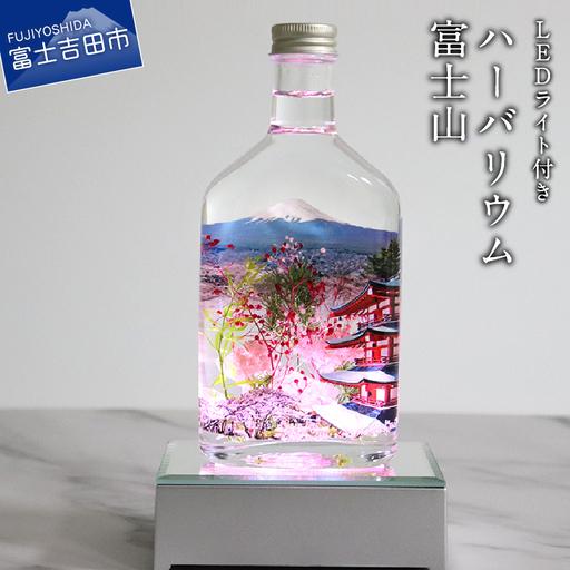 ワンサイズベビーグッズも大集合山梨県富士吉田市 花 苗木 種 ふるさと納税 Ledライト付 ハーバリウム 富士山 山梨県富士吉田市 生花 生花 ワンサイズ 10 800 Cryomisr Com