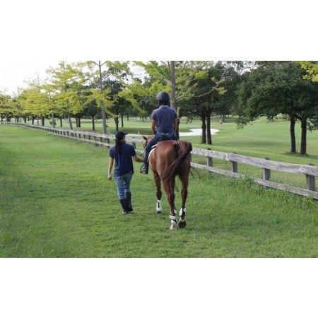 ふるさと納税 420 豪華ヴィラ宿泊＋体験乗馬2食付　1名利用券（※ご利用は2名様より） 福島県いわき市 ふるさと納税 福島県いわき市