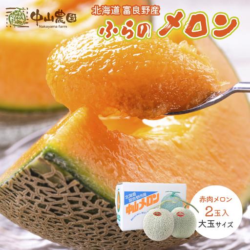 ふるさと納税 TVで話題[2026年発送]北海道 富良野 赤肉 メロン 2玉 計3.2kg以上 北海道富良野市