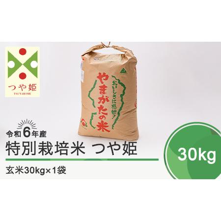 バースデー 記念日 ギフト 贈物 お勧め 通販 ふるさと納税 先行受付 令和4年産 米 つや姫 30kg 大石田町産 特別栽培米 玄米 山形県大石田町 Quran Unv Edu Sd