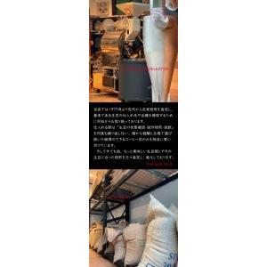 ふるさと納税 G-98【壱枚乃絵】当日：自家焙煎コーヒー豆　オリジナルブレンド　200g×6袋（豆のまま） 兵庫県たつの市 豆のまま