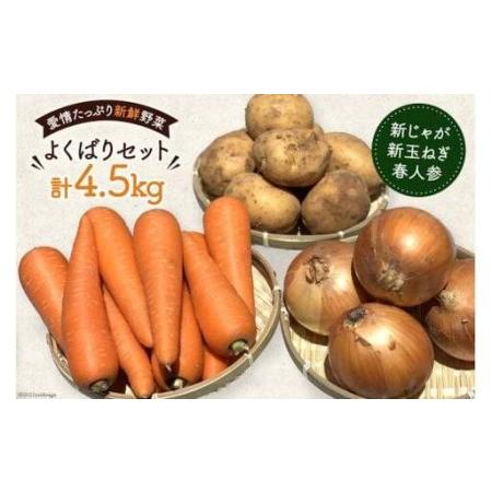 初売り ふるさと納税 Af156新じゃがいも 新玉ねぎ 春人参のよくばりセット 長崎県島原市 買蔵交換 Www Gbengochea Com Uy