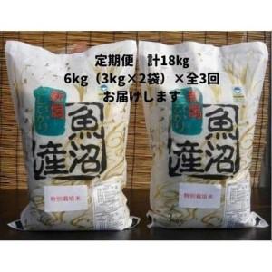 ふるさと納税 【令和７年産】３か月定期便 がんこおやじが作った南魚沼産コシヒカリ白米６kg（３kg×２袋） 新潟県南魚沼市の画像