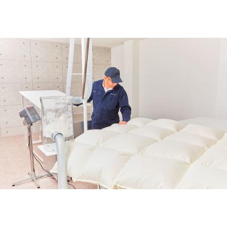 ふるさと納税 ハンガリー産ダウン90%　【抗菌防臭羽毛使用】肌掛け羽毛布団　CILシルバー　カラー　グレージュ（G3500HSGE/AM） 大阪府和泉市 