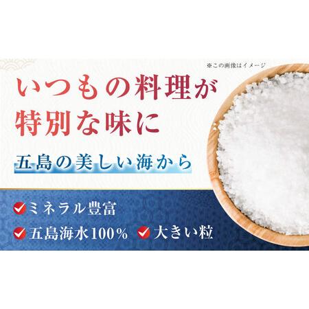 ふるさと納税 【4回定期便】さとうのしおオリジナル 五島市 / さとうのしお窯[PED003] 長崎県五島市_1