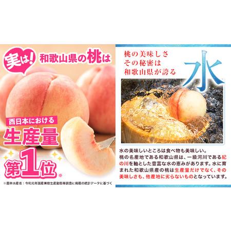 ふるさと納税 桃 紀の里の 桃 約2kg 和歌山県紀の川市の画像