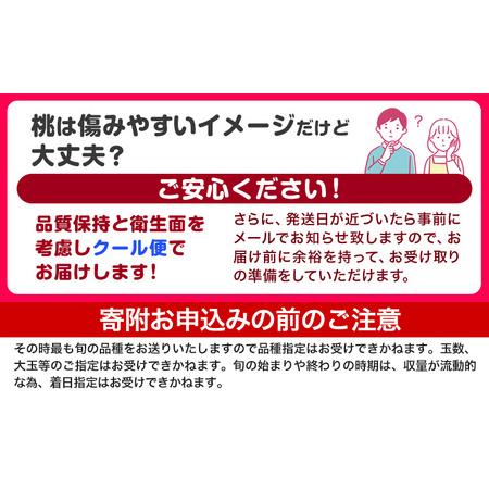 ふるさと納税 桃 紀の里の 桃 約2kg 和歌山県紀の川市の画像