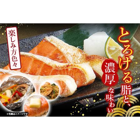 ふるさと納税 塩サーモンハラミ1切(約40g)×25P A-09077 北海道根室市_2