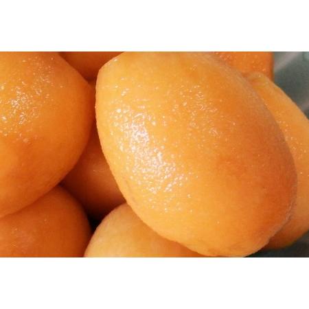 ふるさと納税 AF220【令和8年度出荷分】果汁たっぷり！川田さん家の温室栽培びわ 500g [びわ ビワ フルーツ 果物 長崎県 島原市] 長崎県島原市