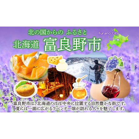 ふるさと納税 ≪3ヶ月定期便≫ふらの天然水【原始の泉】500ml×24本入  (水 新鮮 便利 天然 ペットボトル 北海道 送料無料 道産 富良野市 .. 北海道富良野市_3