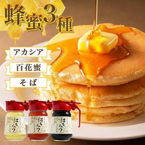ふるさと納税 はちみつ 百花 アカシア そば 300g×3本セット 計900g 長谷川養蜂 | 蜂蜜 国産 無添加 蜂蜜 三重県南伊勢町の画像