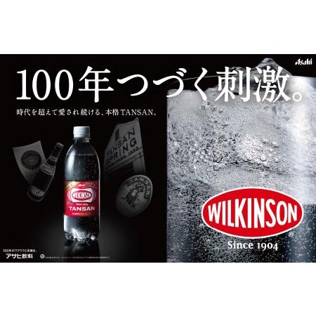 ふるさと納税 強炭酸水【年6回・隔月お届け！】ウィルキンソンタンサン PET1L×2箱 (24本入) 定期便 炭酸 山梨県富士吉田市_2