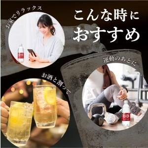 ふるさと納税 強炭酸水【年6回・隔月お届け！】ウィルキンソンタンサン PET1L×2箱 (24本入) 定期便 炭酸 山梨県富士吉田市_3