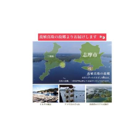 ふるさと納税 【070-19】老舗の真珠専門店・高品質アコヤ真珠ペンダント9.0〜9.5ミリ　45cm（調整可能）（シルバー色）* 三重県志摩市_3