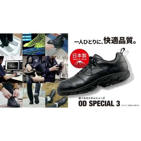 ふるさと納税 AO25　ミズノウォーキングシューズ ミッドカット【ブラック3E】OD SPECIAL 3 (mizuno オーダーシューズ レザー 天然皮革 Wgrip搭載.. 兵庫県宍粟市の画像