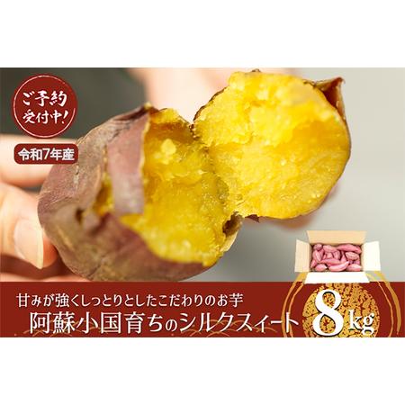 ふるさと納税 [下巣畑農産]令和7年産 熟成 シルクスィート 8kg さつま芋 唐芋 長期貯蔵 産地直送 まとめ買い 九州産 熊本産 小国産 地場産 ス.. 熊本県小国町