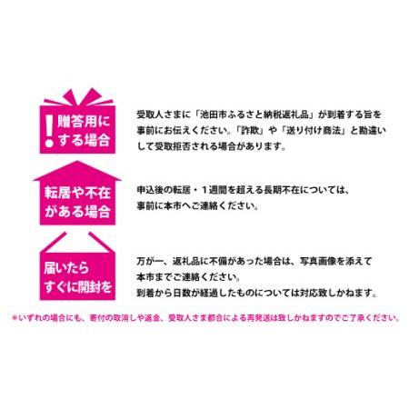 ふるさと納税 【05-05-B】「インスタントラーメン発祥の地・大阪池田」わくわくおたのしみセット 大阪府池田市｜furunavi｜04