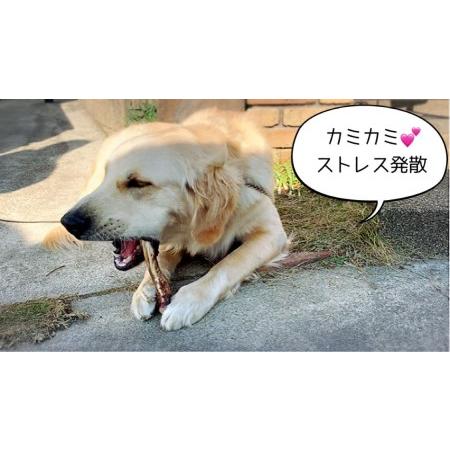 ふるさと納税　FB146_大型犬向け☆天然いのししのスモーク骨ガム6本全6回　佐賀県みやき町