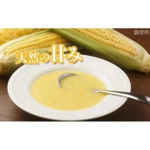 ふるさと納税 【大自然のコーンの甘み】ストレートコーンスープ10人前 トウモロコシの甘み まろやか 愛知県名古屋市_2