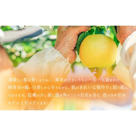 https://item-shopping.c.yimg.jp/i/n/furunavi_504436_3_d_20251226183716