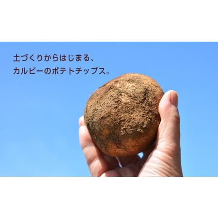 ふるさと納税 【北海道限定】カルビーポテトチップス<北海道バターしょうゆ味>12袋入×2箱《北海道工場製造》 北海道千歳市|furunavi|04