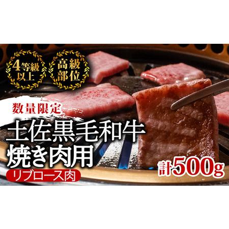 ふるさと納税 [ 和牛 ] 和牛焼肉用500g 高知県須崎市
