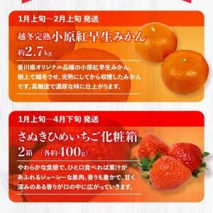 ふるさと納税 季節のフルーツ  厳選 高松市 12回 [旬な季節に合計12回発送]定期便N 香川県高松市_3