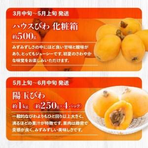 ふるさと納税 季節のフルーツ  厳選 高松市 12回 [旬な季節に合計12回発送]定期便N 香川県高松市_4