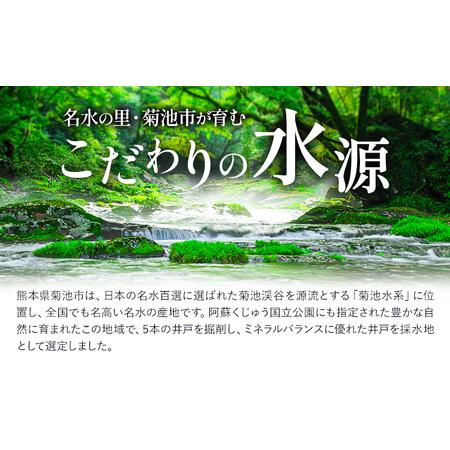 ふるさと納税 浸みわたる水素水 30本(15L) 内容量 1本500ml 《30日以内に出荷予定(土日祝除く)》水 水素水 天然水 飲料水 ミネラルウォーター ア.. 熊本県菊池市の画像