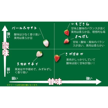 ふるさと納税 不揃い粒のいちごさん960ｇ（240ｇ×４Ｐ）江島農園　苺 B110-012 佐賀県小城市｜furunavi｜05