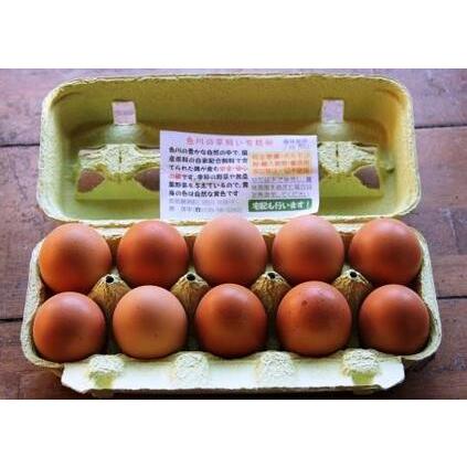 ふるさと納税 国産飼料にこだわった鶏が産む安全安心の レモン色たまご 1パック 10個入り 3 和歌山県九度山町 国内正規総代理店アイテム