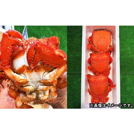ふるさと納税 <産地直送>沖縄県糸満産蒸しアサヒガニ 沖縄県糸満市|furunavi|02