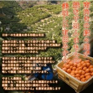 ふるさと納税 こだわりの有田みかん10kg【発送時期指定OK】旬のみかん農家直送《有機質肥料100%》※11月中旬〜11月下旬 和歌山県広川町|furunavi|02