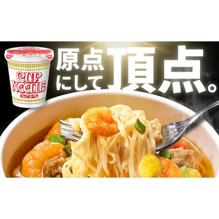 ふるさと納税 日清カップヌードル 20食入 [BIBI001] インスタント 日清 ラーメン 滋賀県栗東市の画像