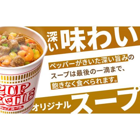 ふるさと納税 日清カップヌードル 20食入 [BIBI001] インスタント 日清 ラーメン 滋賀県栗東市の画像