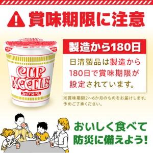 ふるさと納税 【シーフード】日清カップヌードル 20食入 BIBI002 ラーメン 防災 防災グッズ 滋賀県栗東市の画像
