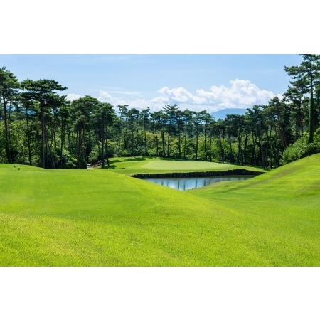 秋冬の主役◎ ふるさと納税 A02_30　新発田市内ゴルフ場共通感謝券（90，000円分） 新潟県新発田市 【3322676660】(117000円)