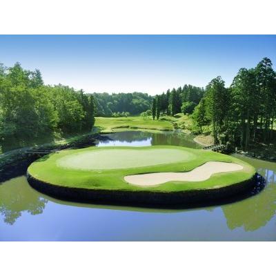 秋冬の主役◎ ふるさと納税 A02_30　新発田市内ゴルフ場共通感謝券（90，000円分） 新潟県新発田市 【3322676660】(117000円)