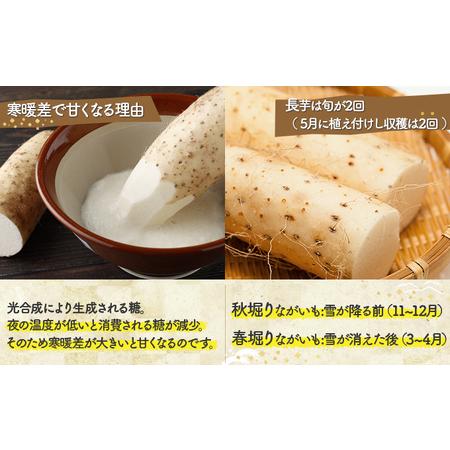 ふるさと納税 七戸町産　冷凍長芋とろろパック　3か月定期便　【02402-0187】 青森県七戸町 