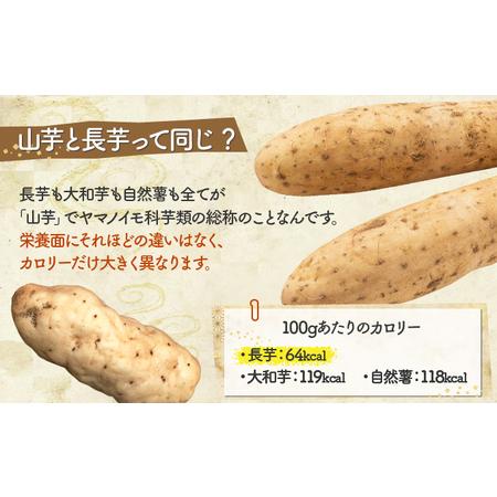 ふるさと納税 七戸町産　冷凍長芋とろろパック　3か月定期便　【02402-0187】 青森県七戸町 