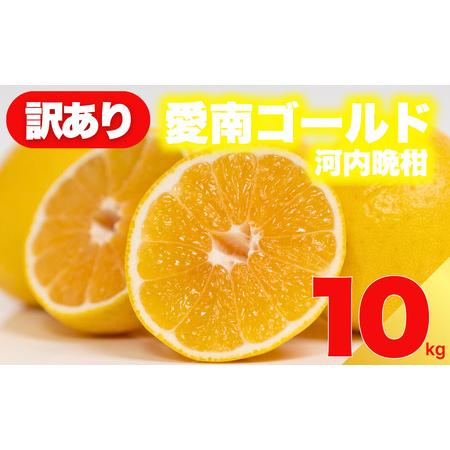ふるさと納税 訳あり 愛南ゴールド 10kg 河内晩柑 愛南ゴールド 愛媛県愛南町