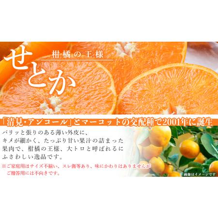 ふるさと納税 ＜愛媛県西予市産 せとか ご家庭用 約4kg＞ 訳あり 不揃い 傷 果物 フルーツ みかん ミカン 蜜柑 セトカ オレンジ 柑橘類 選べる .. 愛媛県西予市
