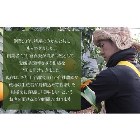 ふるさと納税 ＜愛媛県西予市産 せとか ご家庭用 約4kg＞ 訳あり 不揃い 傷 果物 フルーツ みかん ミカン 蜜柑 セトカ オレンジ 柑橘類 選べる .. 愛媛県西予市