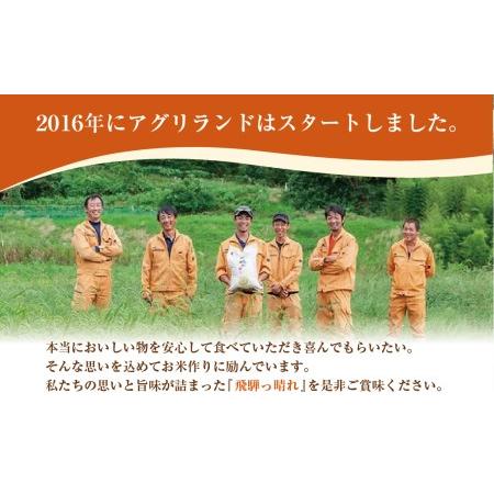 ふるさと納税 【定期便】こしひかり飛騨っ晴れ 白米 10kg 12回 お届け 生産者直送 お米 コシヒカリ 飛騨産 飛騨高山 アグリランド TR3814 岐阜県高山市