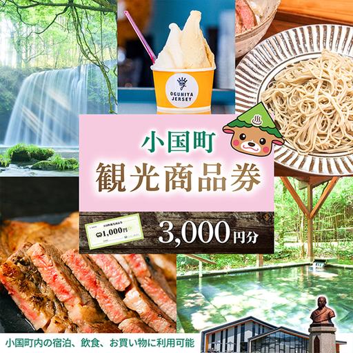 ふるさと納税 小国町観光商品券3千円（1000円×3枚） 熊本県小国町 