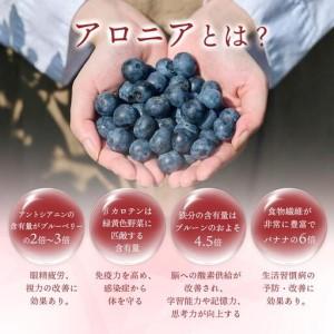 ふるさと納税 [5525-0279]北海道 伊達大滝産 アロニア ベリー 赤い はちみつ 140g×2 国産 ハチミツ 蜂蜜 ハニー 赤はちみつ スーパーフード.. 北海道伊達市_1